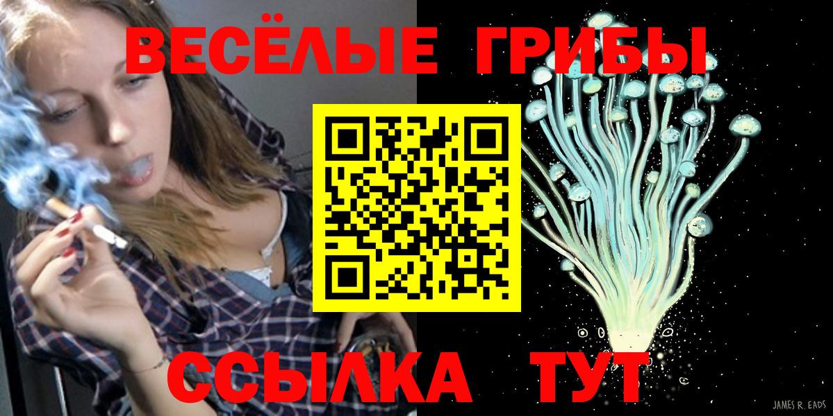 Семилуки  Псилоцибиновые грибы Psilocybe  Вход с VPN  Галлюциногенные грибы ЛСД 